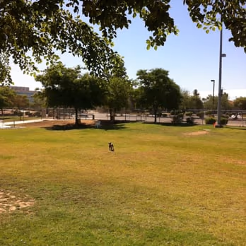 Rose Mofford Sports Complex Dog Park photo 1